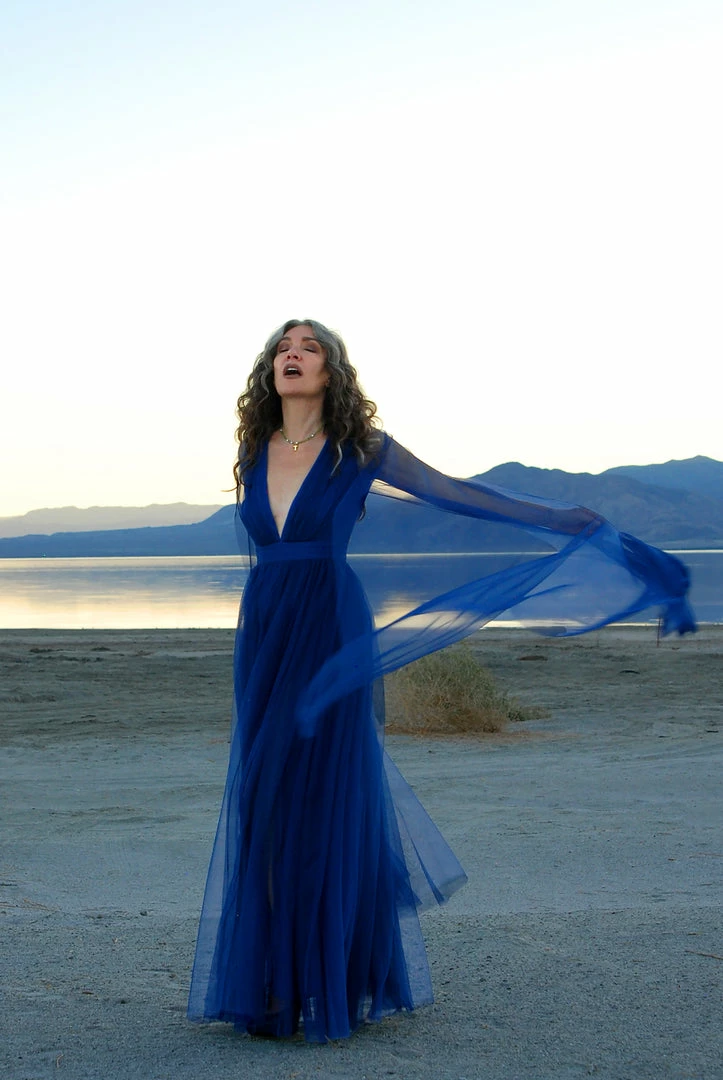 Rubber Ducky Gothic Glamour Bombshell Gown In Blue With Floor Length Sheer Cape Sleeves What's New, Pussycat? 8 Rubber Ducky Gothic Glamour Bombshell Gown In Blue With Floor Length Sheer Cape Sleeves What's New, Pussycat?