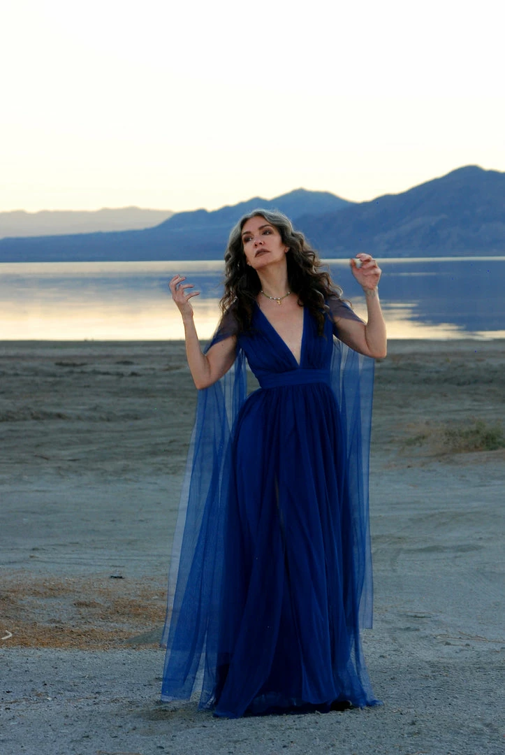 Rubber Ducky Gothic Glamour Bombshell Gown In Blue With Floor Length Sheer Cape Sleeves What's New, Pussycat? 7 Rubber Ducky Gothic Glamour Bombshell Gown In Blue With Floor Length Sheer Cape Sleeves What's New, Pussycat?