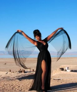 Rubber Ducky Coming Soon - Gothic Glamour Bombshell Gown In Black With Floor Length Sheer Cape Sleeves What's New, Pussycat?