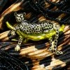 Alibaba Vintage Inspired Black & Gold Leopard Brooch Under $60